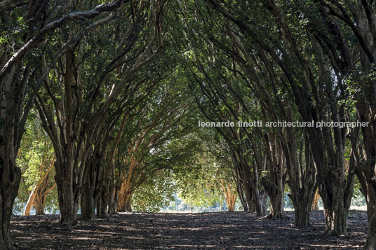 fazenda das palmeiras cva arquitetura