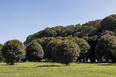 fazenda das palmeiras cva arquitetura