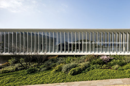 instituto ling isay weinfeld