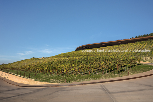 cantina antinori archea