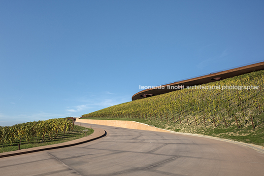 cantina antinori archea