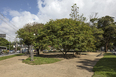 praça euclides da cunha burle marx