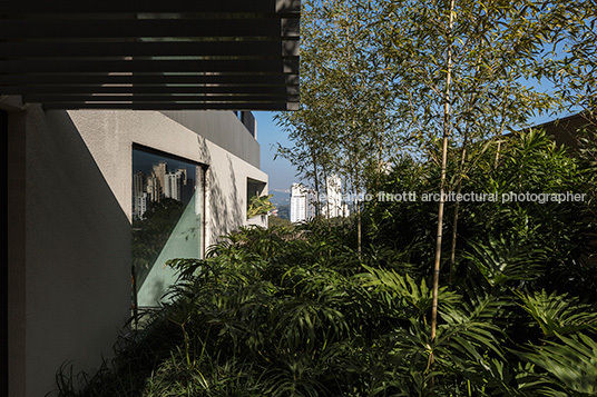 oka isay weinfeld