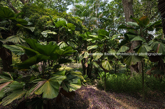 sítio roberto burle marx burle marx