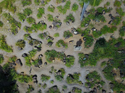 euclides da cunha square
