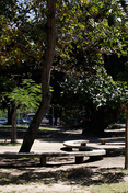 nossa senhora da conceição da jaqueira chapel garden
