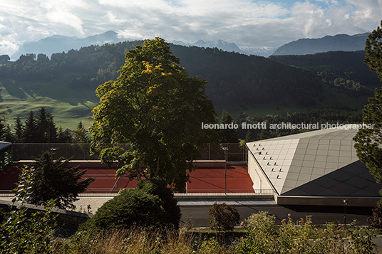 diamond domes russli architekten