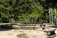 parque da jaqueira burle marx