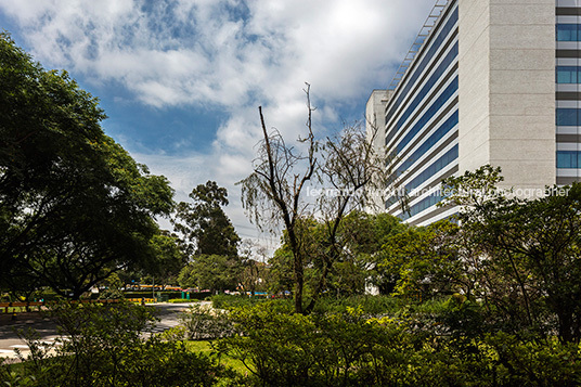 cenesp joão henrique rocha