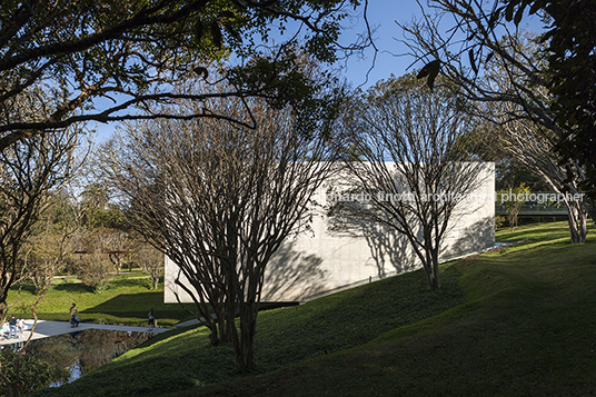 galeria adriana varejão - inhotim rodrigo cerviño lopez