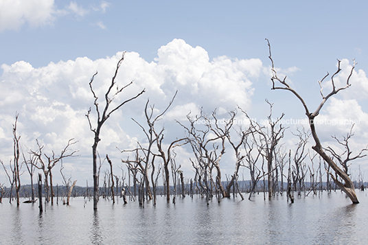 represa de balbina anonymous