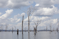 represa de balbina anonymous