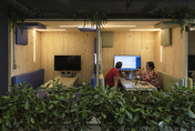 weedo offices
