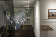 adolphus opara+leonardo finotti: sacred groves & secret parks - hutchins center michelle jean de castro