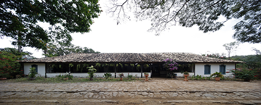 fazenda babilonia anonymous