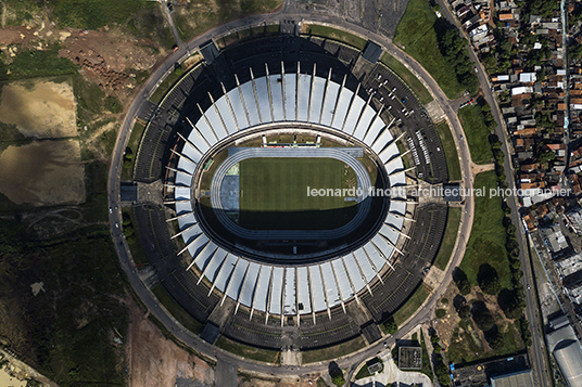 mangueirão stadium alcyr meira