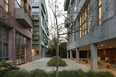 555 isay weinfeld