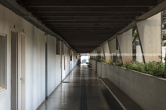 faculdade de filosofia - unesp joão walter toscano