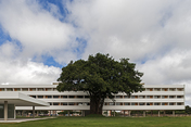 brasília palace hotel