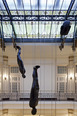 antony gormley: still being - ccbb marcello dantas