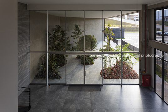 parafix oliveira cotta