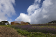 mátria parque de flores ja8 arquitetura e paisagem