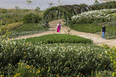 mátria parque de flores ja8 arquitetura e paisagem