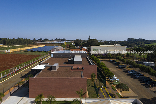 estação experimental syngenta oliveira cotta