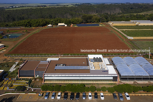 estação experimental syngenta oliveira cotta