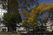 iit technology park south