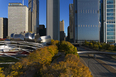 jay pritzker bandshell - millennium park frank o. gehry