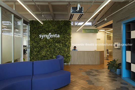 syngenta agrícola oliveira cotta