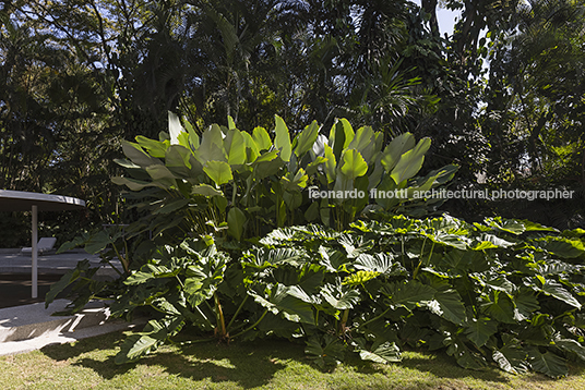 loja wooding rodrigo oliveira paisagismo