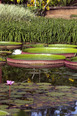 fazenda vargem grande burle marx