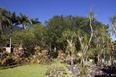 fazenda vargem grande burle marx