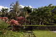 fazenda vargem grande burle marx