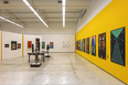 galeria mata - inhotim paulo orsini