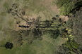 giuseppe penone: elevazione - inhotim GIUSEPPE PENONE