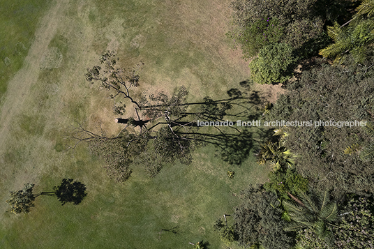 giuseppe penone: elevazione - inhotim GIUSEPPE PENONE