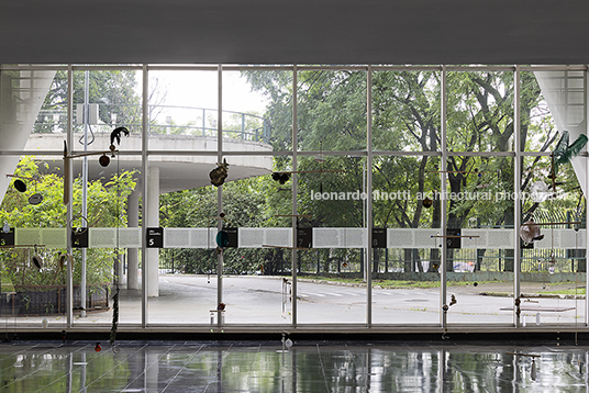 laercio redondo: as maravilhas - mac usp birger lipinski