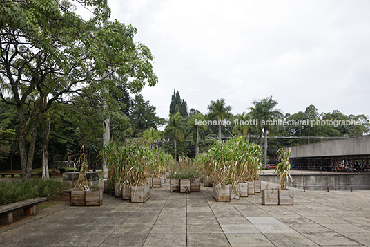 mupotyra: arqueologia amazônica - mube guilherme wisnik