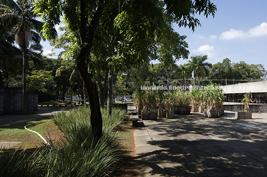 mupotyra: arqueologia amazônica - mube guilherme wisnik