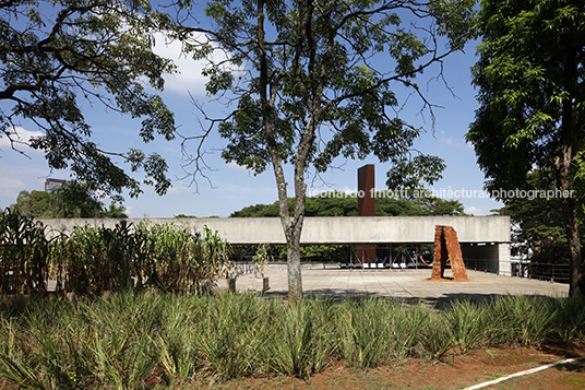 mupotyra: arqueologia amazônica - mube guilherme wisnik