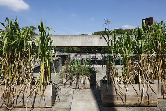 mupotyra: arqueologia amazônica - mube guilherme wisnik