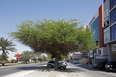 muharraq snapshots 