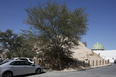 muharraq snapshots 