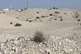 muharraq snapshots 