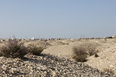 muharraq snapshots 