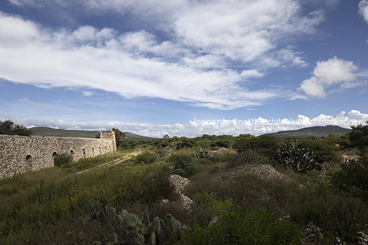 hacienda santa brigida 