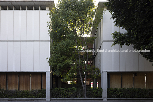 escuela continente miguel montor